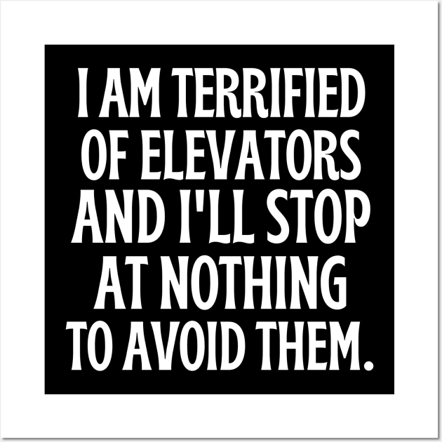 I am terrified of elevators and I'll stop at nothing to avoid them. Wall Art by mksjr